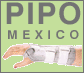 pipo