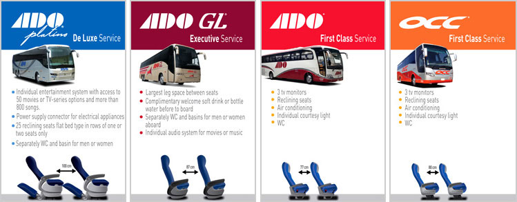ADO Bus Types