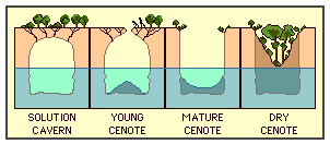 Rivier Maya Cenote
