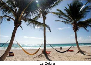 la zebra beach tulum