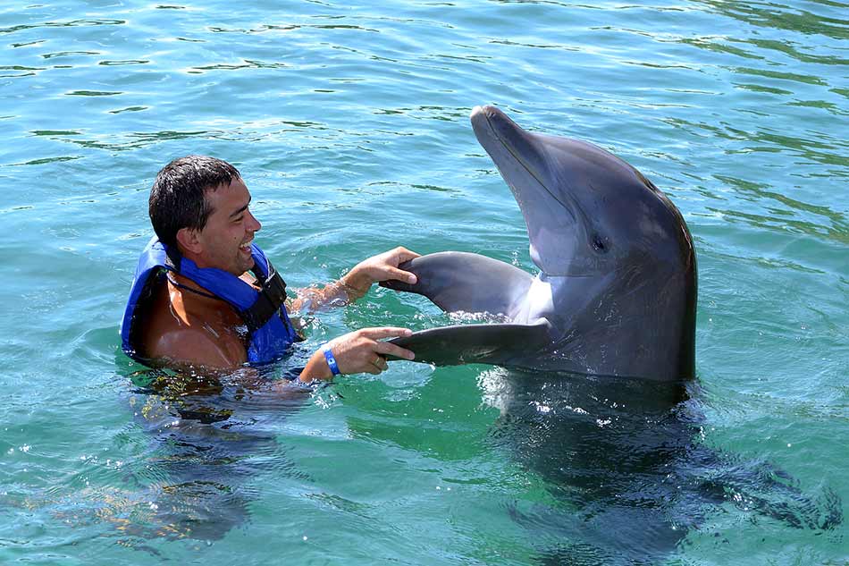 Swim with Dolphins Puerto Aventuras Mexico